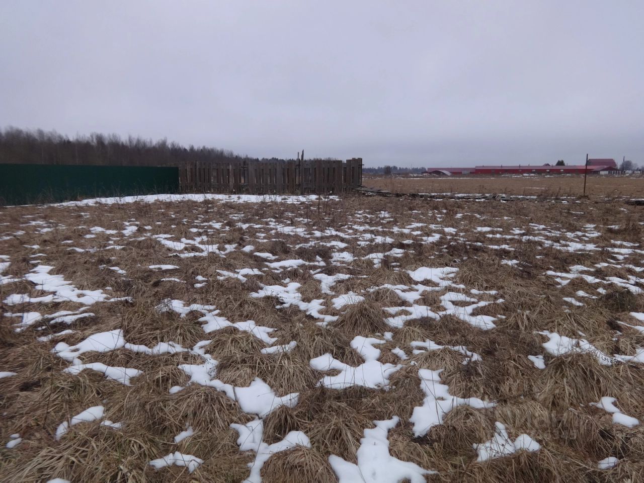 Продажа земли Солнечная Поляна кп,  д. 31