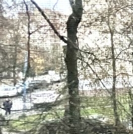 Аренда 2-комн квартиры на вторичном рынке Красково пгт, улица Некрасова, 3 Аренда 2-комн квартиры на вторичном рынке Красково пгт, улица Некрасова, 3