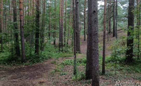 Продажа 3-комн квартиры на вторичном рынке Сосновый Бор г, Ленинградская ул,  д. 2