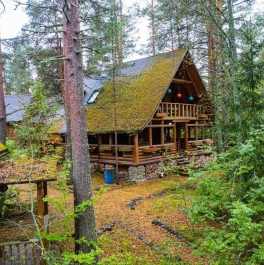 Аренда дома Толмачево, ул Толмачева,  д. 12