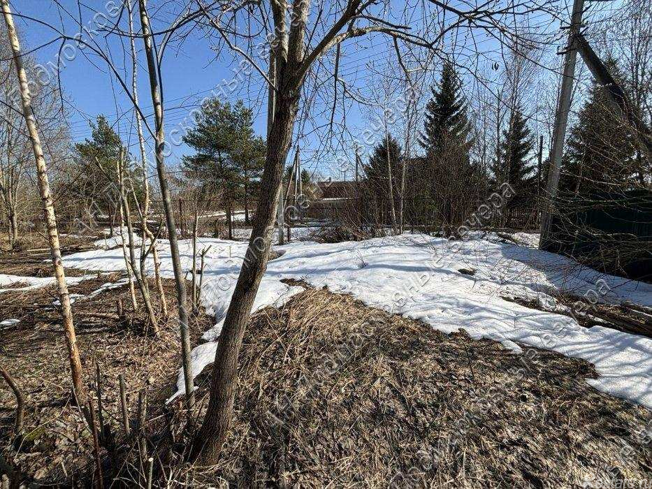 Продажа земли Новинки деревня