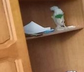 Продать Квартиры вторичка Профсоюзная улица, 8К2   