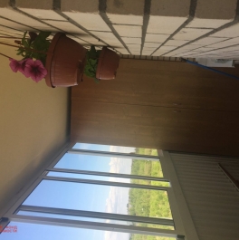 Продажа 1-комн квартиры на вторичном рынке Красное Село г., Освобождения ул. ,  д. 33,  к. 2