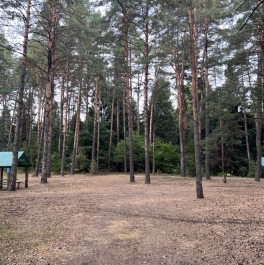 Продажа земли Пушкинский городской округ, Каштановая улица, д. 21 Продажа земли Пушкинский городской округ, Каштановая улица, д. 21