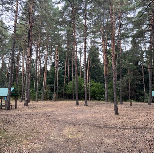 Земельный участок Пушкинский городской округ, Каштановая улица,  д. 21