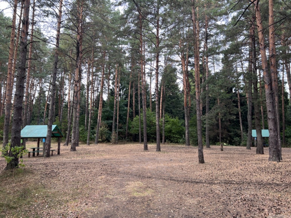 Продажа земли Пушкинский городской округ, Каштановая улица,  д. 21