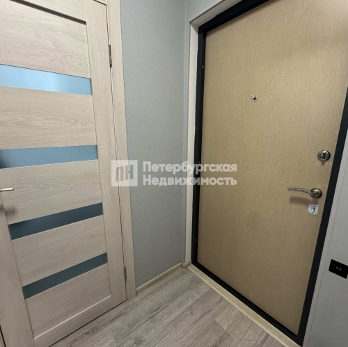 Студия ул Плесецкая, д 10 к 1