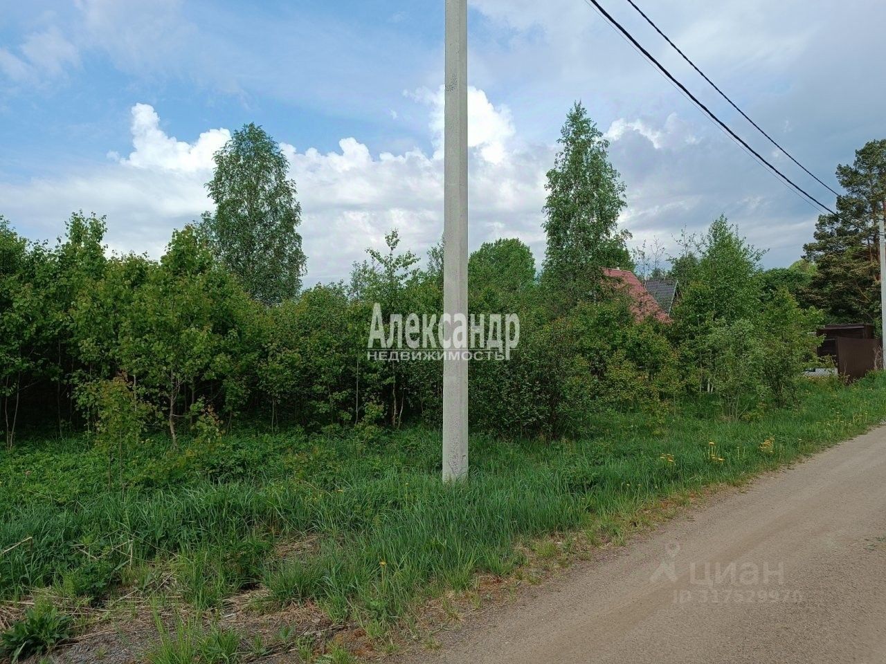 Продажа земли Алмаз СНТ, улица Еловая