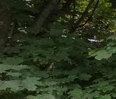 Продать Квартиры вторичка пос. Молодежный, 4   