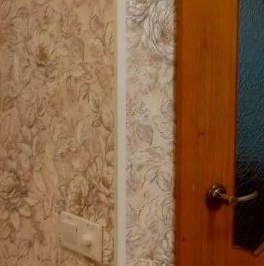 Аренда 1-комн квартиры на вторичном рынке Мамонтовка мкр, Пушкино, Рабочая улица,  д. 2