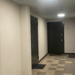 Продажа 3-комн квартиры на вторичном рынке Ветеранов пр-кт,  д. 123 с1