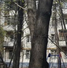 Аренда 1-комн квартиры на вторичном рынке Веерная улица, 32К2 Аренда 1-комн квартиры на вторичном рынке Веерная улица, 32К2