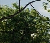 Продать Квартиры вторичка переулок 2-й Котляковский, 2ас4   