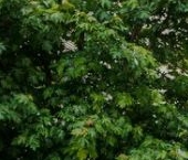 Продать Квартиры вторичка Мосфильмовская улица, 1А   