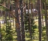 Продать Земельные участки, земля пос. Западная Лица, улица Мостовая, 1   