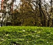 Продать Квартиры вторичка Наро-Фоминск, улица Луговая, 7   