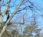 Продать Квартиры вторичка пос. Молодежное, улица Правды, 5   