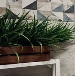 Аренда 1-комн квартиры на вторичном рынке Комендантский проспект, 57к1 Аренда 1-комн квартиры на вторичном рынке Комендантский проспект, 57к1