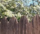 Продать Дачи, коттеджи, загородные дома Скворицы массив, Пудость СНТ, 32   