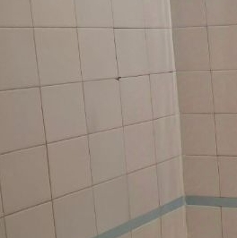 Аренда 1-комн квартиры на вторичном рынке Придорожная аллея, 5