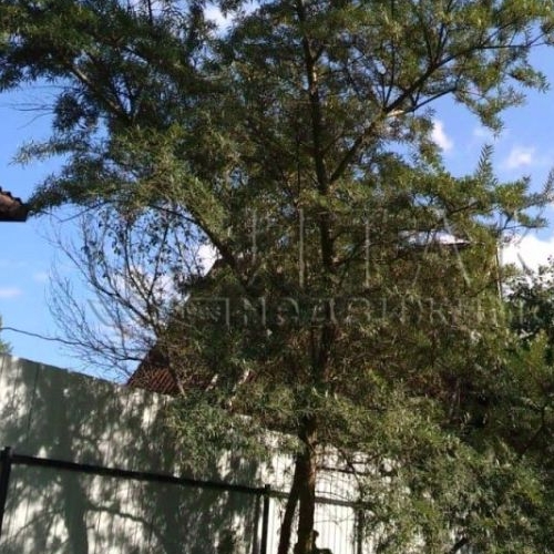 Коттедж/дом д. Новые Крупели, улица Малая, 3