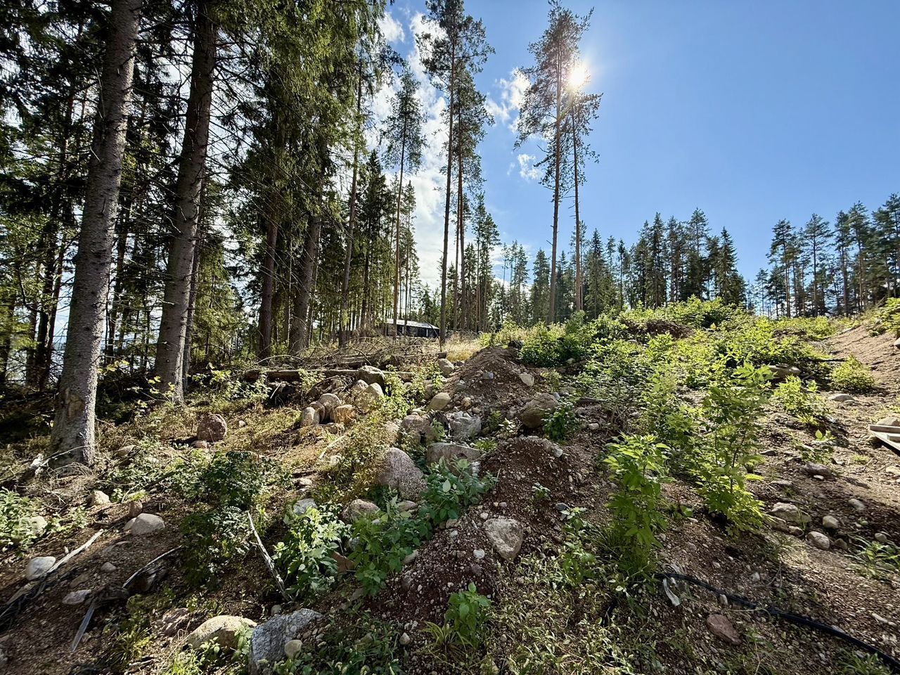 Продажа земли Лесная Ривьера кп,  д. 23
