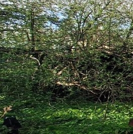 Продажа дома Сестрорецк, улица Малая Горская, 8 Продажа дома Сестрорецк, улица Малая Горская, 8