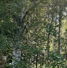 Продажа земли Удачное СНТ