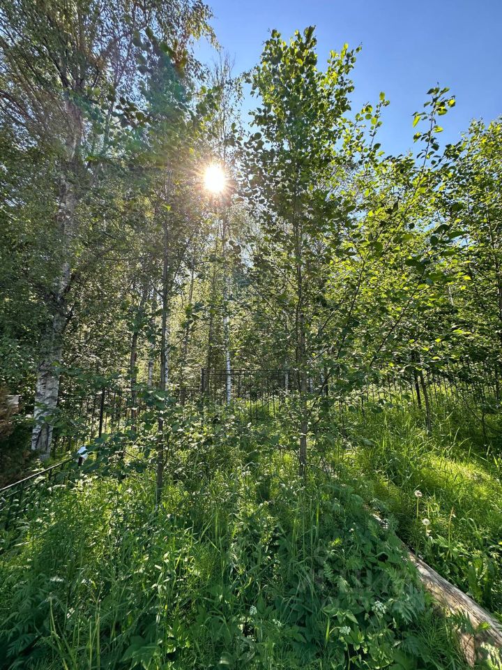 Продажа земли Удачное СНТ