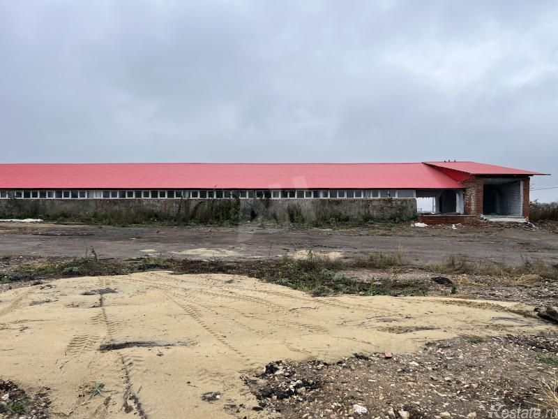 Аренда склада Руднево, , Кашира, ул Центральная,  д. 3