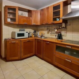 Аренда 1-комн квартиры на вторичном рынке Вековая улица,  д. 5