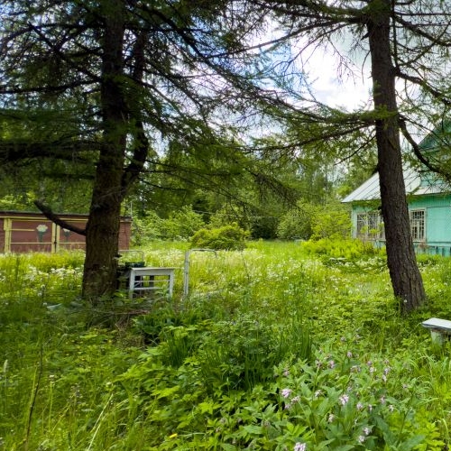 Земельный участок Петергоф, Комсомольская улица, 1