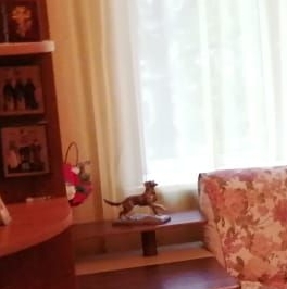 Продажа 2-комн квартиры на вторичном рынке улица 10-я Соколиной Горы, д. 12 Продажа 2-комн квартиры на вторичном рынке улица 10-я Соколиной Горы, д. 12