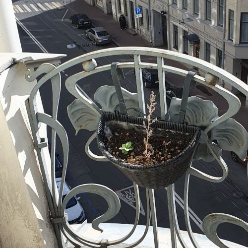 Комната Бородинская улица, 12/31