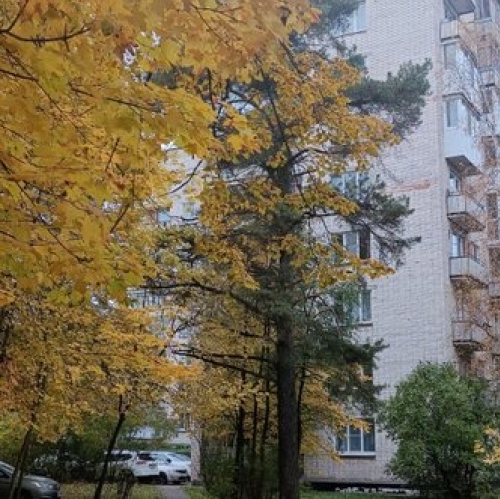 3-комн квартира Сосновый Бор г, Ленинградская ул,  д. 2