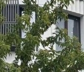 Продать Квартиры вторичка Новоостаповская улица, 20   