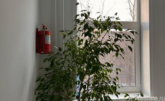 Аренда 2-комн квартиры на вторичном рынке Ямская 2-я ул,  д. 11