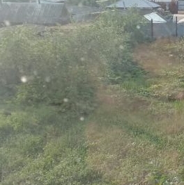 Продажа дома д. Аннолово, улица Речная