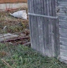 Продажа дома Будогощь пгт, улица Заводская, 90