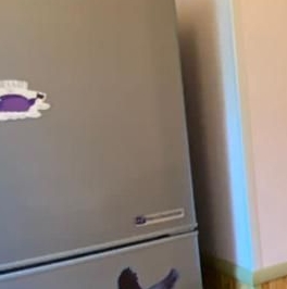 Аренда 1-комн квартиры на вторичном рынке улица Плещеева, 24