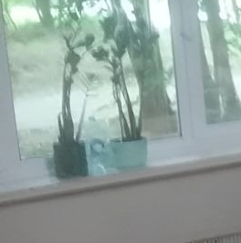 Аренда 1-комн квартиры на вторичном рынке улица Подольских Курсантов, 12К1