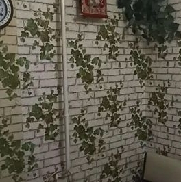 Продажа 1-комн квартиры на вторичном рынке Пикалево г., улица Горняков, 19