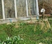 Продать Земельные участки, земля Приладожское СНТ, 879   