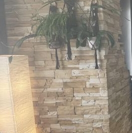 Продажа 3-комн квартиры на вторичном рынке Видное, улица Ольховая, 3 Продажа 3-комн квартиры на вторичном рынке Видное, улица Ольховая, 3