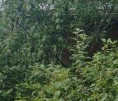 Продать Дачи, коттеджи, загородные дома Ухта СНТ, 296   