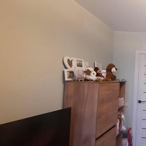 2-комн квартира д. Пудомяги, 2