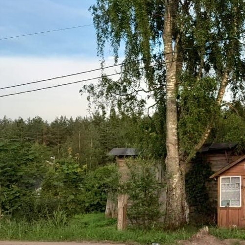 Коттедж/дом д. Проба, шоссе Пробинское, 33