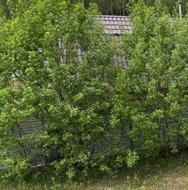 Продажа дома Агалатово-3 кп,  д. 102