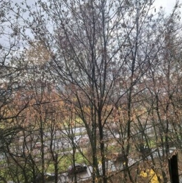 Продажа 1-комн квартиры на вторичном рынке Вернадского пр-кт,  д. 117