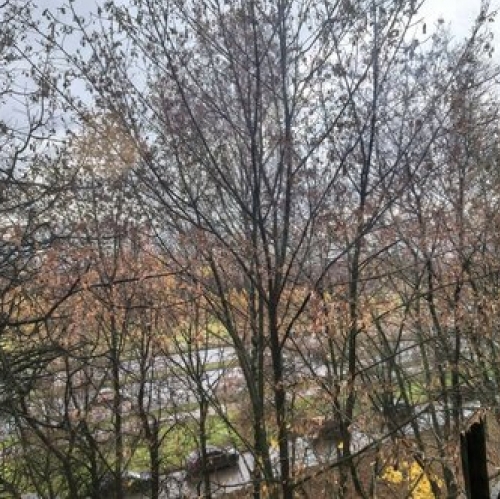 1-комн квартира Вернадского пр-кт,  д. 117